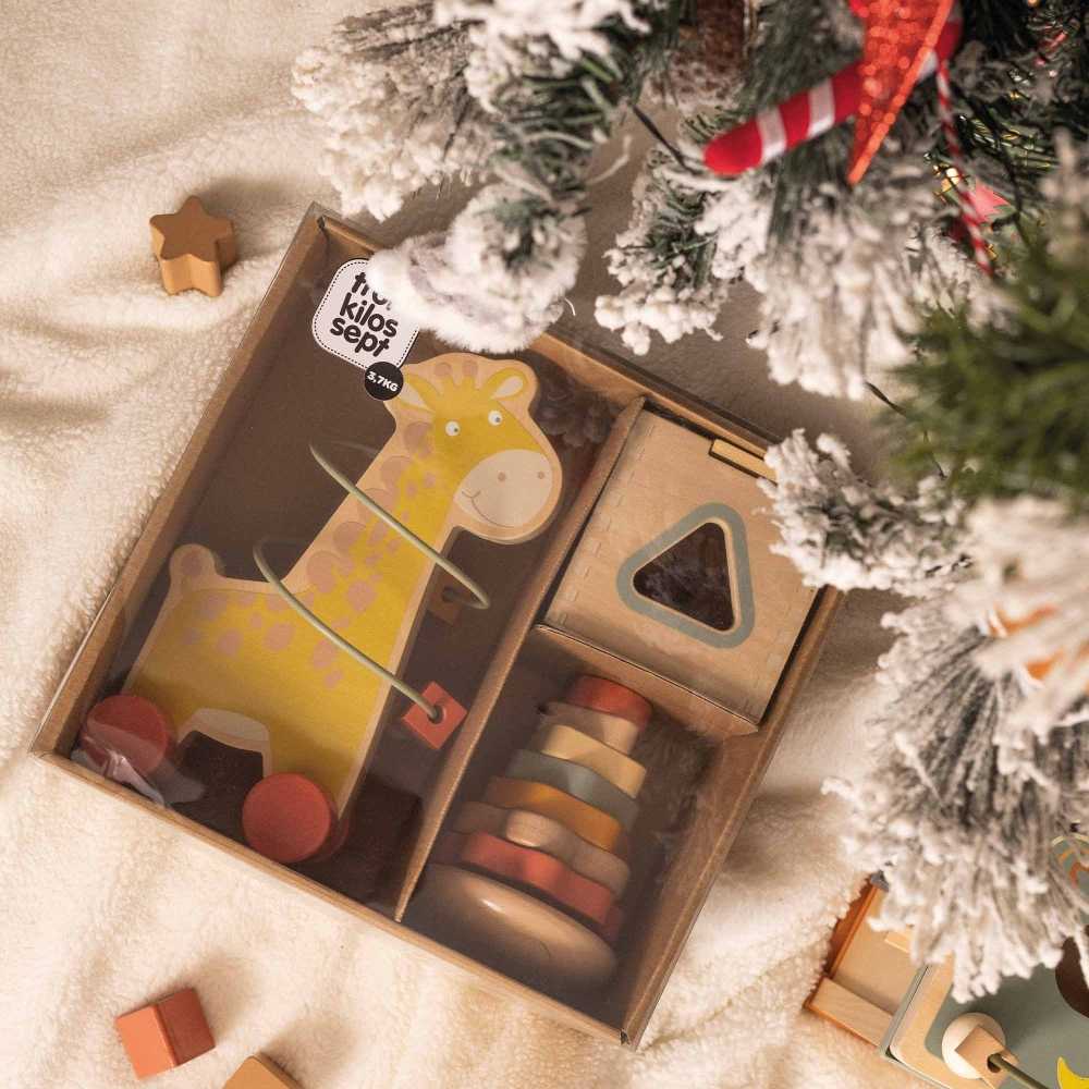 Coffret 3 jeux d'éveil en bois