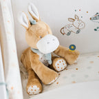 Léo l’âne câlin