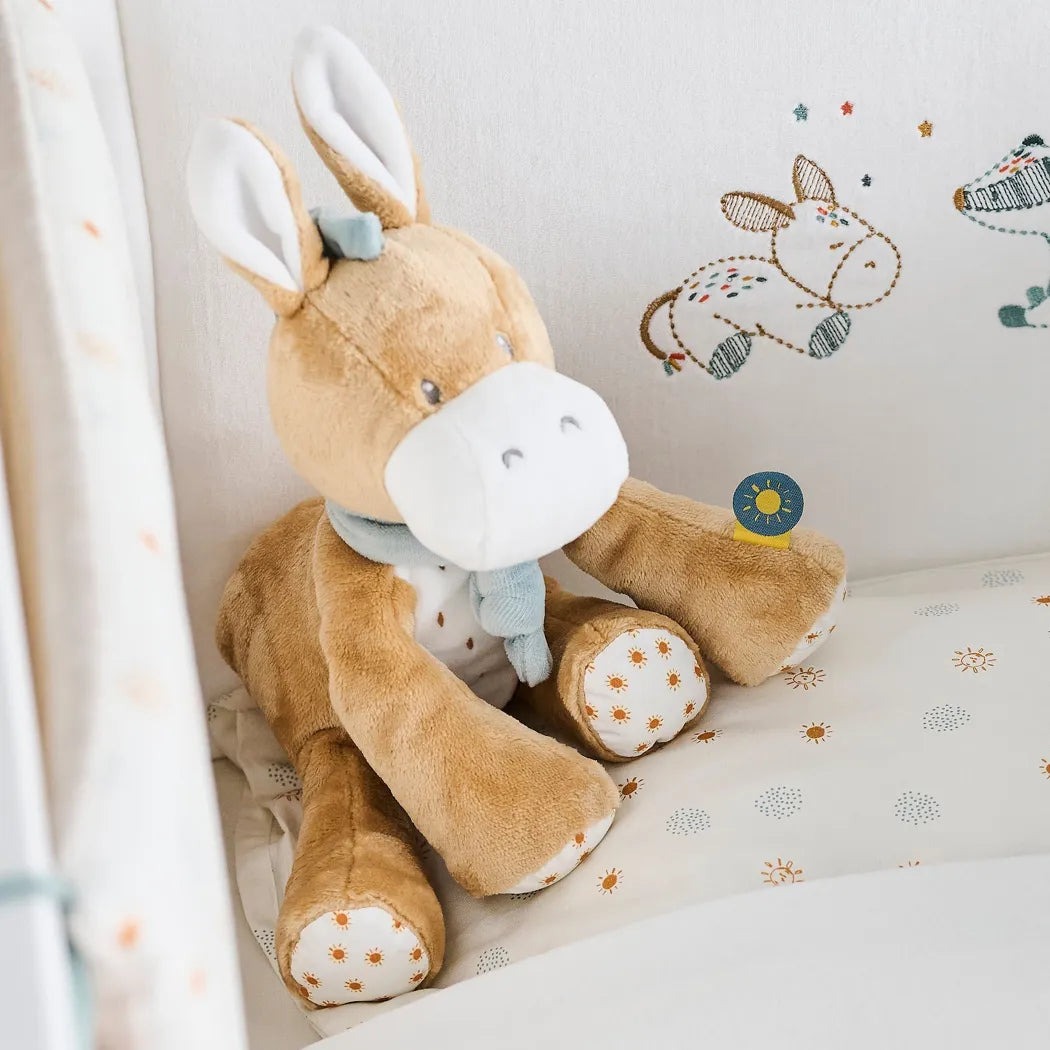 Léo l’âne câlin