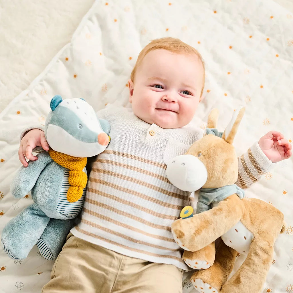 Léo l’âne câlin