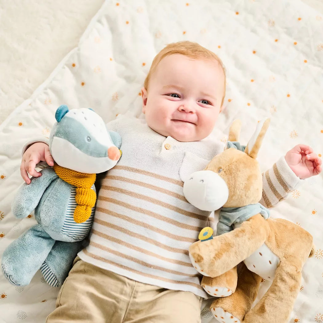 Léo l’âne câlin