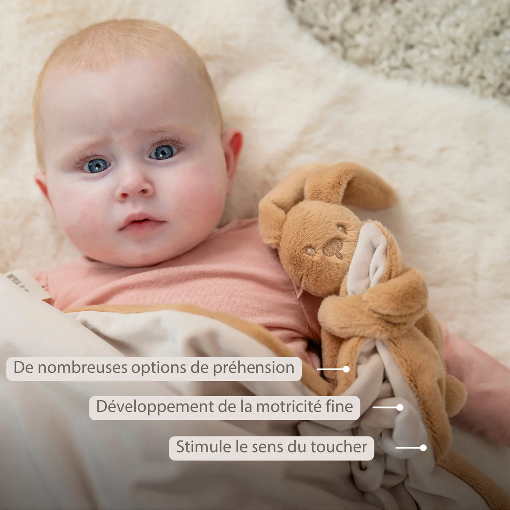 Couverture bébé Lapidou avec peluche - 50 x 50 cm - Lapin Doudou -